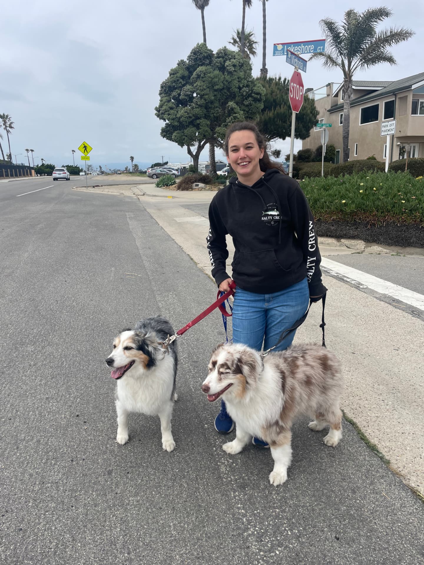 Avela walking two happy dogs on a sunny Ventura County neighborhood street